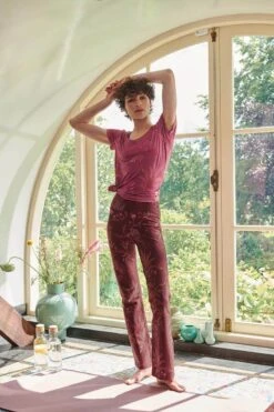 Top Short Sleeve Isola Pink 14 Top Short Sleeve Isola Pink -Chic Nest Deals Store at pip studio ss23 dag01 1264