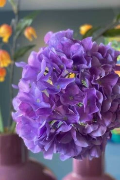 Pip Artificial Flowers Sunset Kiss 11 Pip Artificial Flowers Sunset Kiss -Chic Nest Deals Store img 4557