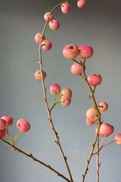 Pip Artificial Flowers Sweet Symphony -Chic Nest Deals Store img 8873