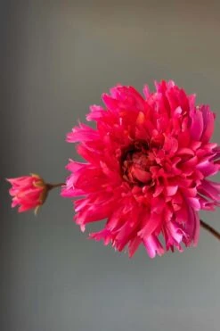 Pip Artificial Flowers Fall Beauty -Chic Nest Deals Store img 8893