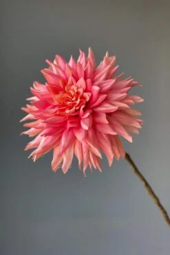 Pip Artificial Flowers Vanilla Bloom -Chic Nest Deals Store img 8895