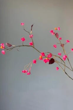 Pip Artificial Flowers Vanilla Bloom -Chic Nest Deals Store img 8896