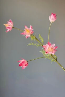 Pip Artificial Flowers Vanilla Bloom -Chic Nest Deals Store img 8897