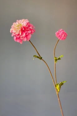 Pip Artificial Flowers Vanilla Bloom -Chic Nest Deals Store img 8898