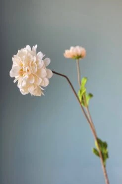 Pip Artificial Flowers Vanilla Bloom -Chic Nest Deals Store img 8899